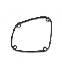 Gasket 424694